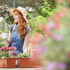 Pretty woman in straw hat on her head drinking tea on terrace, sitting next to containers with red flowers