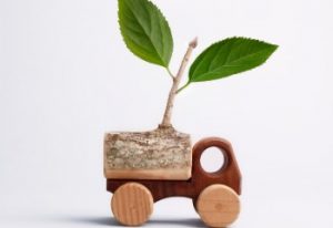 Szmolifruit sz&aacute;ll&iacute;t&aacute;s